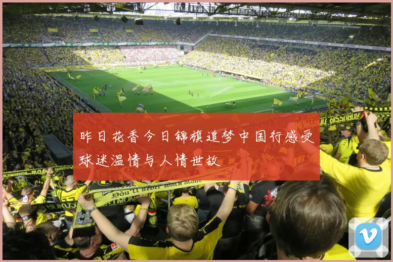 昨日花香今日锦旗追梦中国行感受球迷温情与人情世故