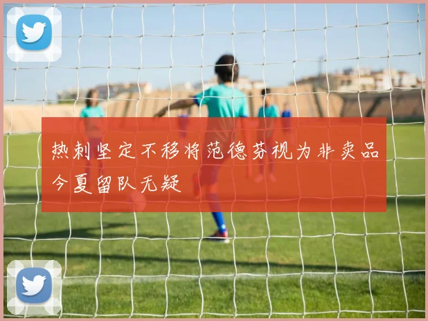 热刺坚定不移将范德芬视为非卖品今夏留队无疑