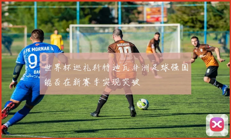 世界杯巡礼科特迪瓦非洲足球强国能否在新赛季实现突破